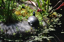 DSC_1755.JPG