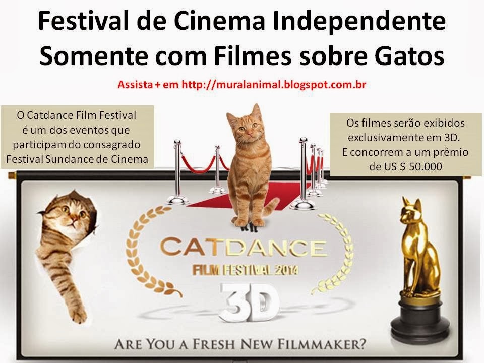 [Festival%2520de%2520Cinema%2520Independente%255B3%255D.jpg]