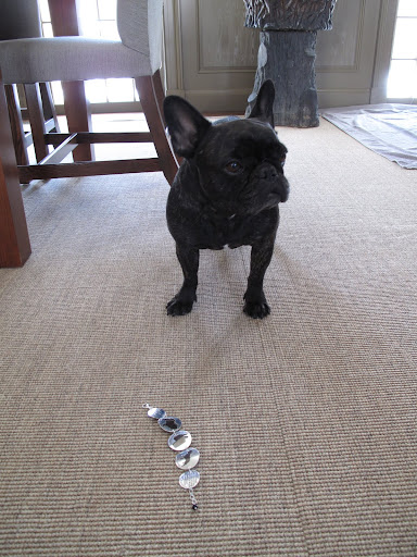 Ok Sharkey, whatever you say.  Come on, G.K.  Let's go run outside!