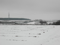 SAM_7033.JPG Photo