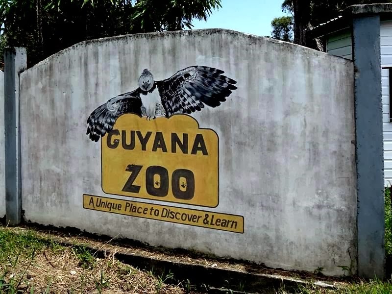 [Guyana_Zoo_DSC07048%255B7%255D.jpg]