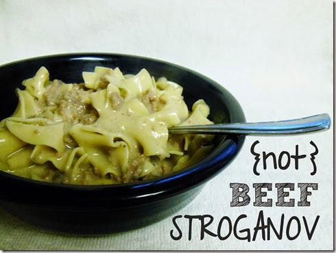 Stoganov 015 Stoganov 015