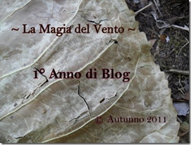SAM_0062banner_anno_di_blog_1