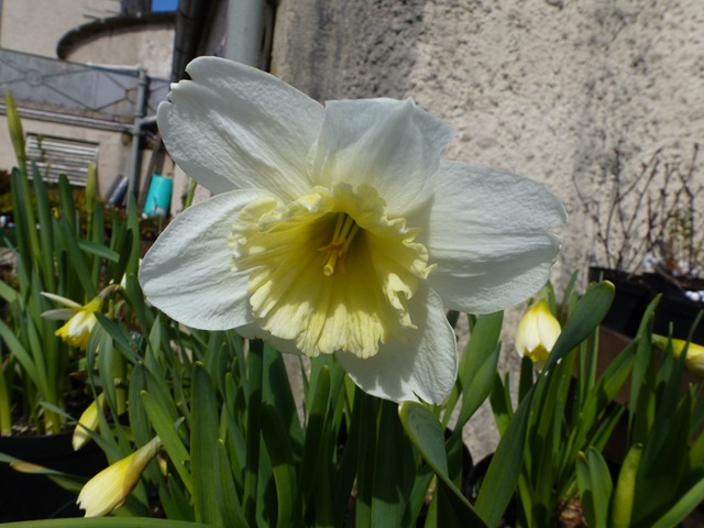 [greenbank.borders%2520022%255B3%255D.jpg]