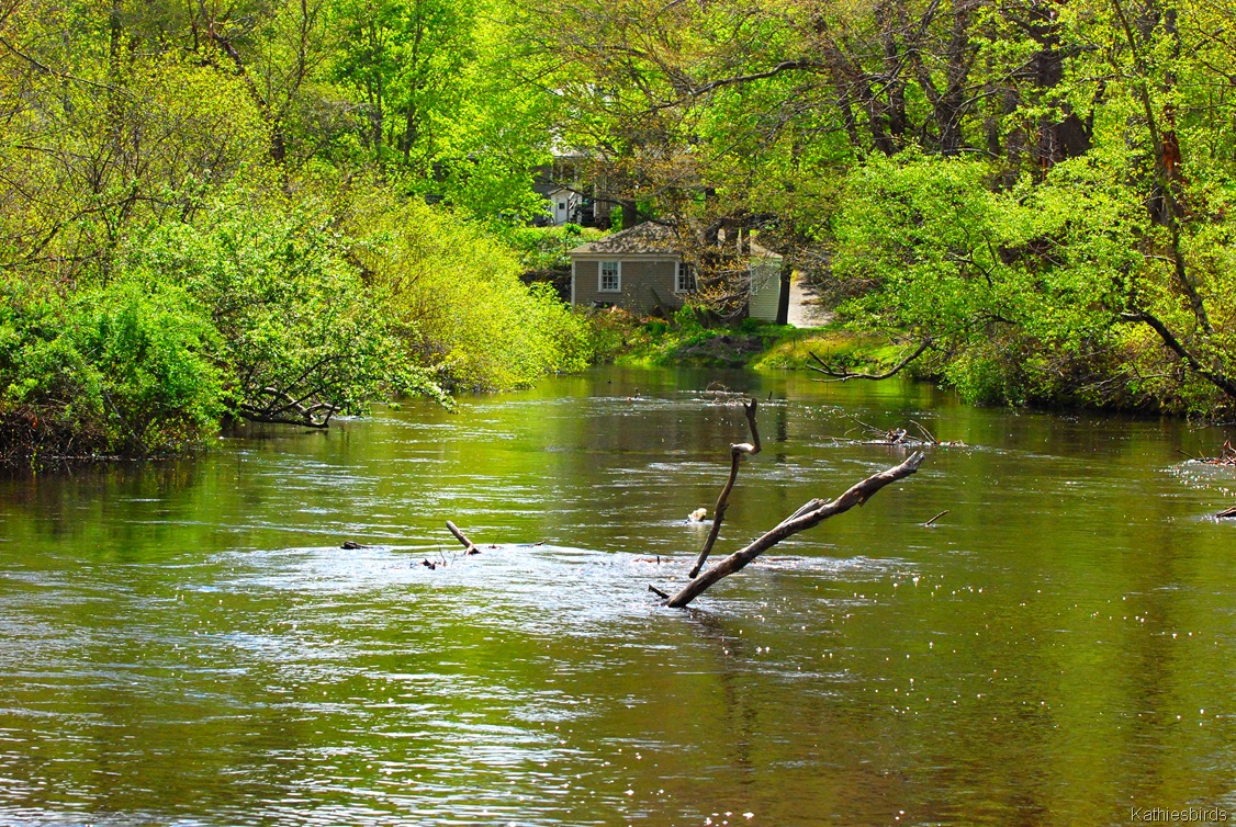 [4.%2520swollen%2520river-kab%255B4%255D.jpg]