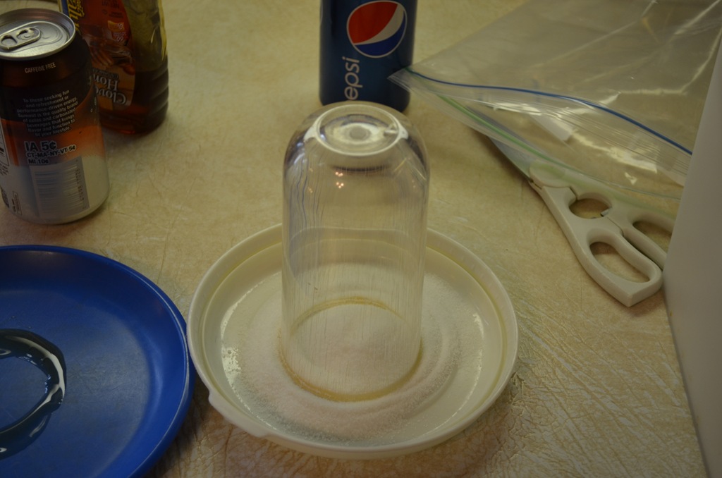 [DSC_0012%255B4%255D.jpg]