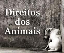 [direitos%2520dos%2520animais%25202%255B3%255D.jpg]