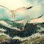 Sea Gulls