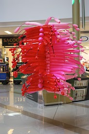 IMG_9435.jpg