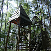 dsc03063.jpg