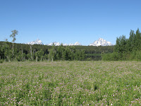 IMG_0352.JPG Photo