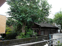 P1100509.JPG