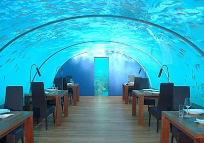[restaurante_maldivas%255B3%255D.jpg]