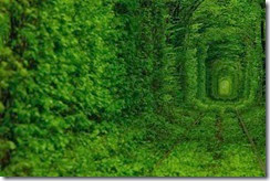 Secret-Train-Tunnel-of-Love-In-Ukraine-7
