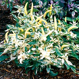 [image%255B72%255D.png]