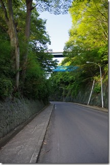 IMGP9509 IMGP9509