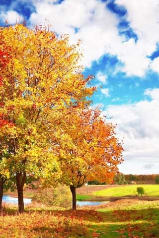 50 Fondos de paisajes para iPhone 4s 50 Fondos de paisajes para iPhone 4s