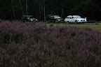 IMG_5575.JPG