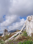 mount_st._hellens