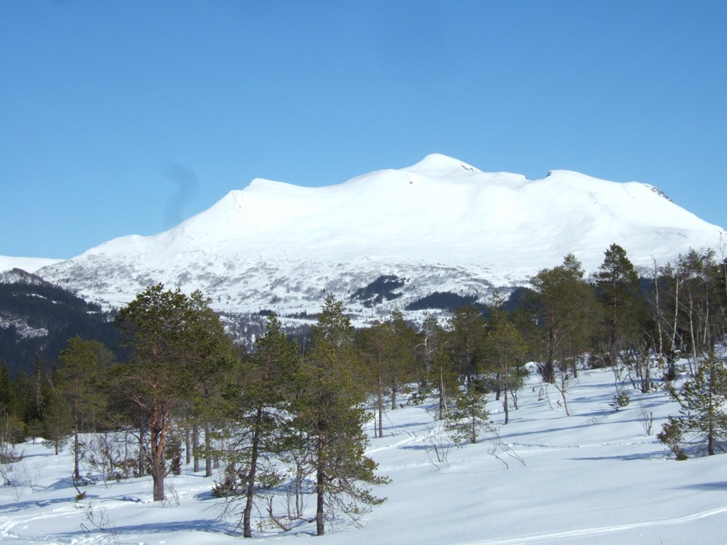 [540%255B5%255D.jpg]