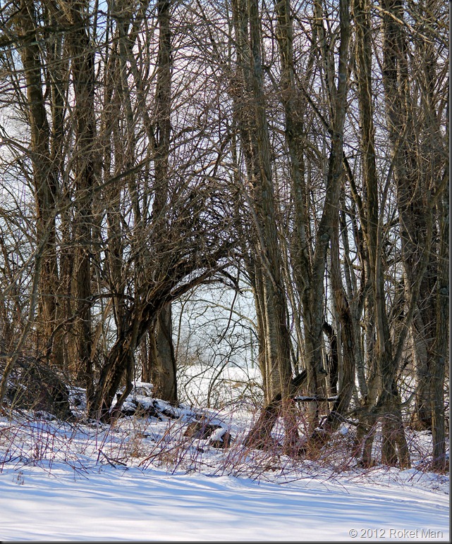 IMG_7422