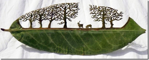 leaf art by lorenzo duran