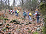 P1152996.JPG