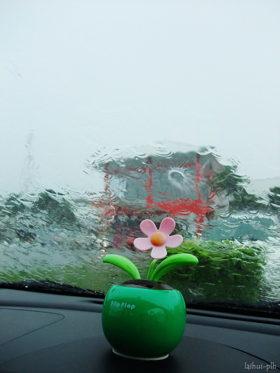 [DSCF93268.jpg]