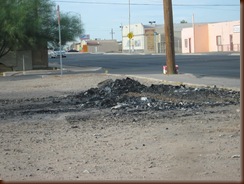 IMG_4135 IMG_4135