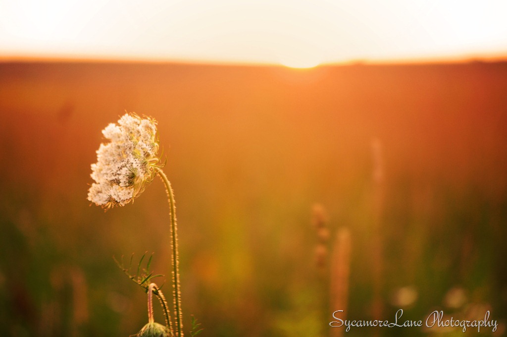 [sunset-3%255B16%255D.jpg]