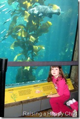 July16_Kelp