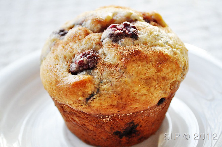 muffin-1