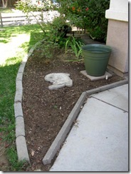 IMG_0003 IMG_0003
