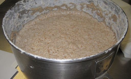 This is a wheat bread base on day 3. My friend Janelle and I added more flour and water to it and then it was put in a mixer to knead for 10 minutes. This is a wheat bread base on day 3. My friend Janelle and I added more flour and water to it and then it was put in a mixer to knead for 10 minutes.