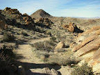 Joshua Tree, 49 palms Oasis trail (Photo by Bob Moore)