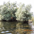 DSCN3102.JPG