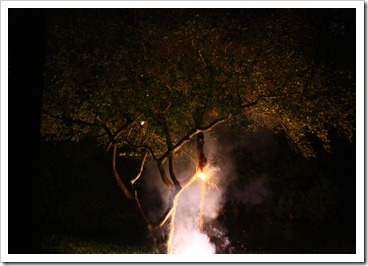 Hodge Boys Fireworks 7-3-2012 (77)
