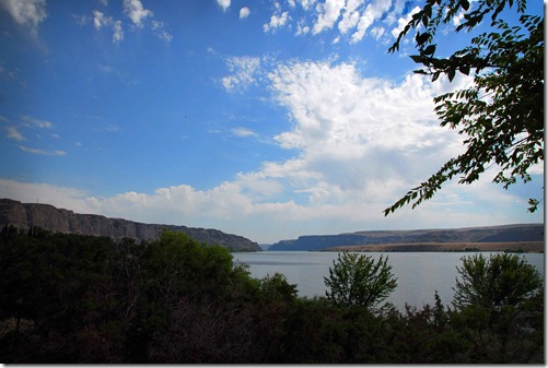 Tree View of Gorge