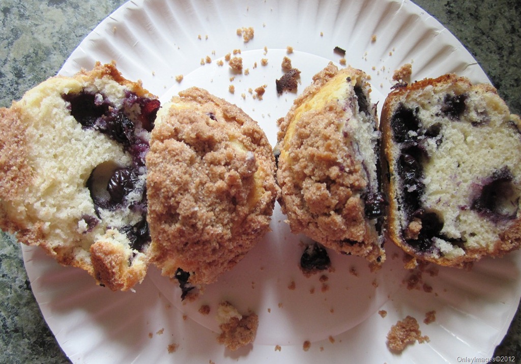[blueberry-muffins0708-111%255B12%255D.jpg]