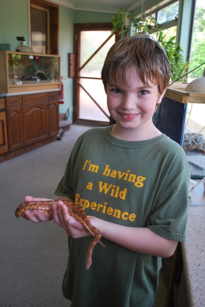 [DSC_0053%255B4%255D.jpg]