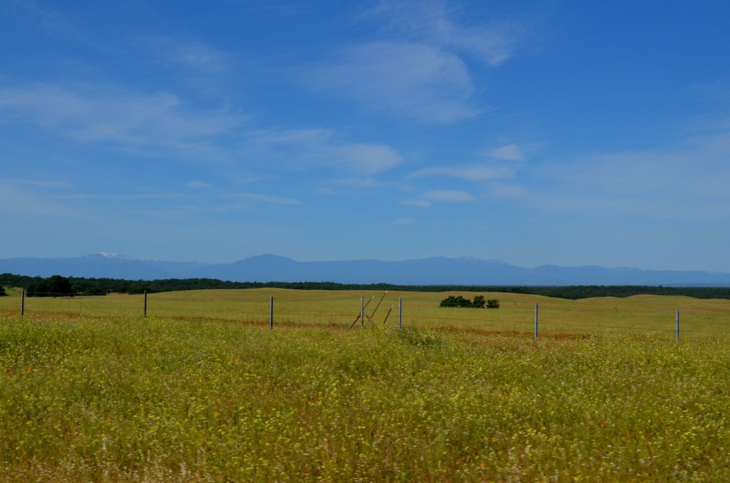 [Day%25201_055DSC_0055%255B4%255D.jpg]