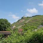 DSC_0031.JPG