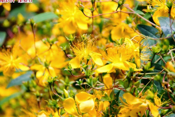 2014_0707_102411 2014_0707_102411