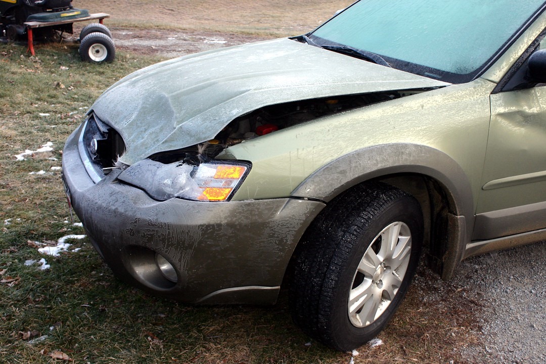 [deer%2520collision%252005%255B3%255D.jpg]