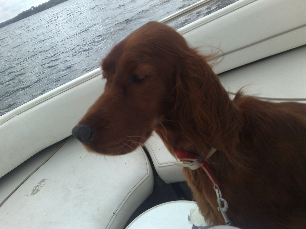 [Bild329%255B3%255D.jpg]