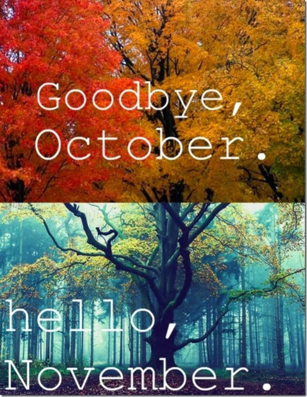 hello november