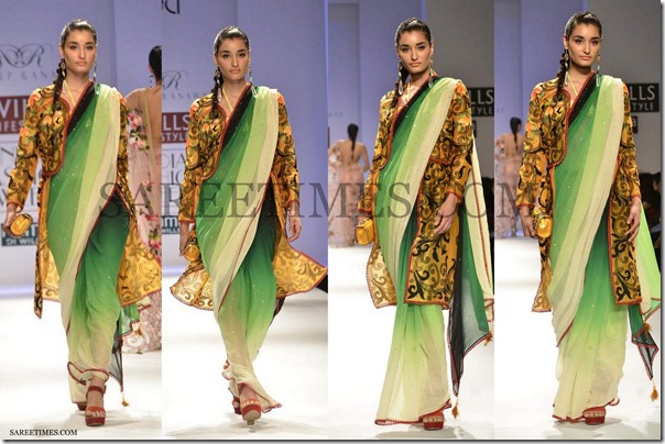 Rajdeep_Ranawat_Sari