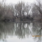 IMG_1335.JPG