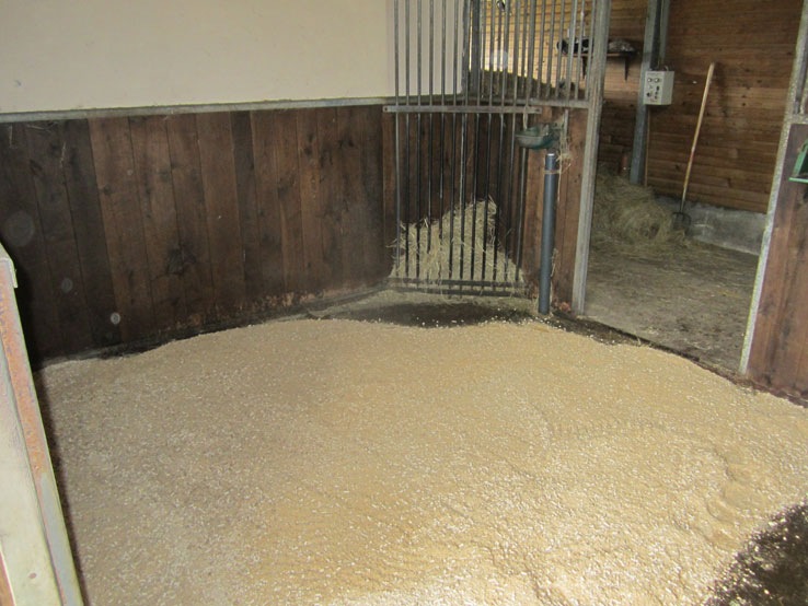 [IMG_0862x%255B2%255D.jpg]