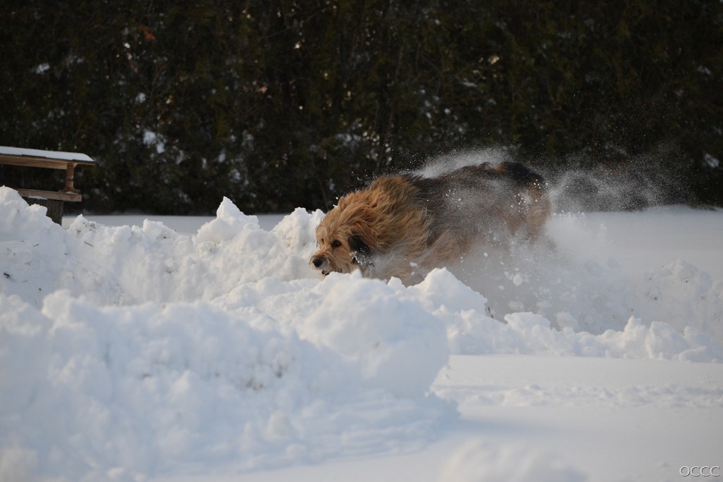 [DSC_6351%255B6%255D.jpg]